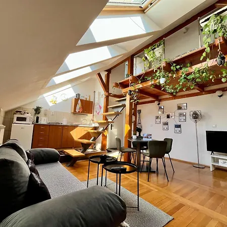 Captain Misha's Place Appartement