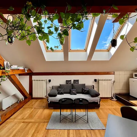 Appartement Captain Misha's Place *