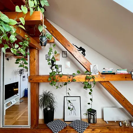 Captain Misha's Place Apartament Belgrad